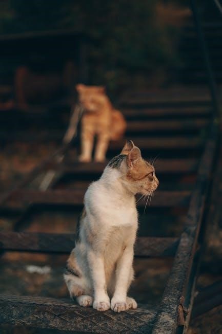 pexels-photo-2255564