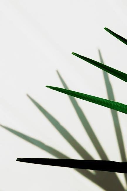 pexels-photo-6843669